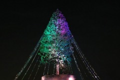 Sapin de Noël