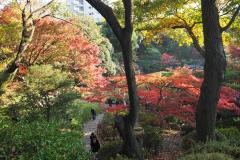 Kyu Furukawa Teien - Couleurs d'automne