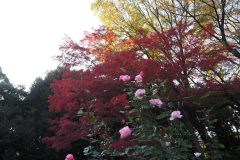 Kyu Furukawa Teien