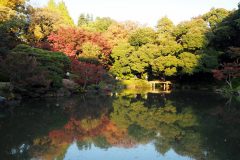 Kyu Furukawa Teien - Etang
