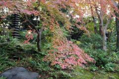 Kyu Furukawa Teien - Couleurs d'automne