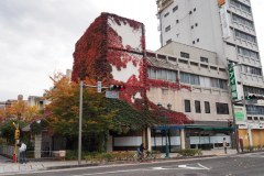 Matsumoto