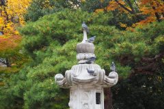 Matsumoto - Sanctuaire Yohashira