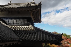 Matsumoto - Château