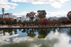 Matsumoto - Vue depuis le château