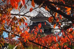 Matsumoto - Château
