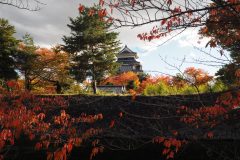 Matsumoto - Château