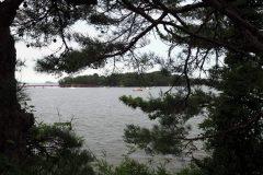 Matsushima