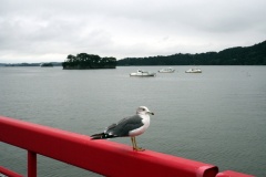 Matsushima