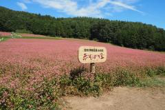 Akasoba no sato
