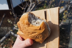 Taiyaki à la farine de sarrasin 