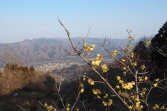 Rôbai jardins Hodosan