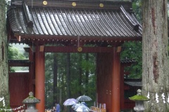 P1190595