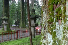 P1190615