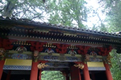 P1190624