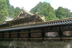 P1190694