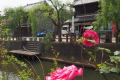 Sawara - Au bord du canal