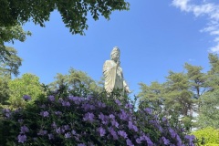 IMG_9660