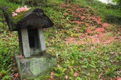 Shorinzan Darumaji
