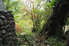 Shorinzan Darumaji