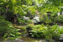 Shorinzan Darumaji