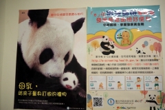 salle allaitement taipei