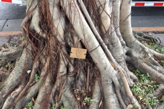 Taipei Chang Kai Chek Memorial