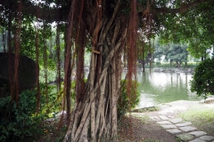 Taipei Chang Kai Chek Memorial