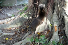 Taipei Chang Kai Chek Memorial