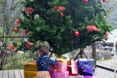 Sapin Maokong