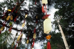 Temple Zhinan
