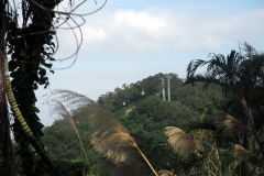 Maokong