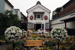 Encore plein de fleurs