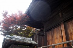 Tomioka - Sanctuaire Suwa