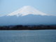 mont fuji kawaguchiko