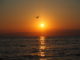 coucher de soleil océan enoshima