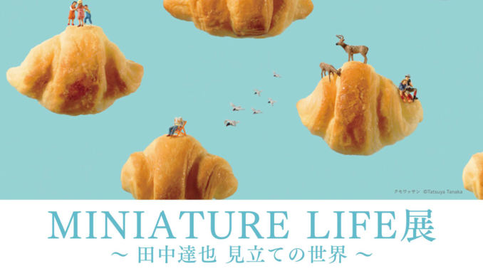 tanaka tatsuya miniature life
