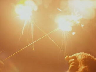 bonnie pink hanabi delight