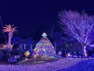 enoshima