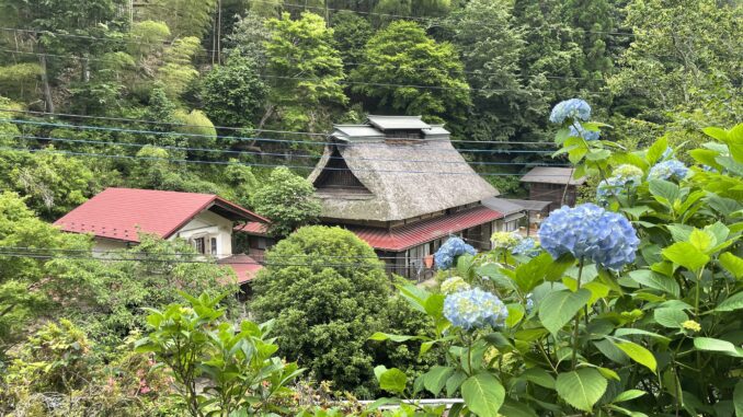 ajisaiyama itsukaichi