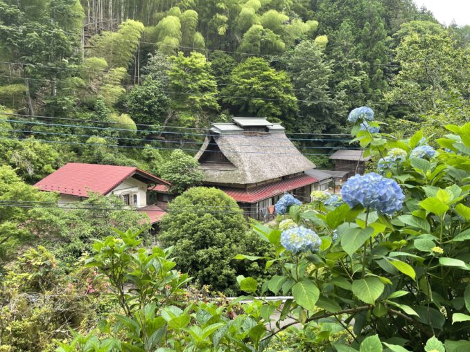 ajisaiyama itsukaichi