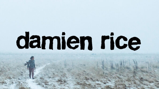 concert damien rice