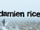 concert damien rice